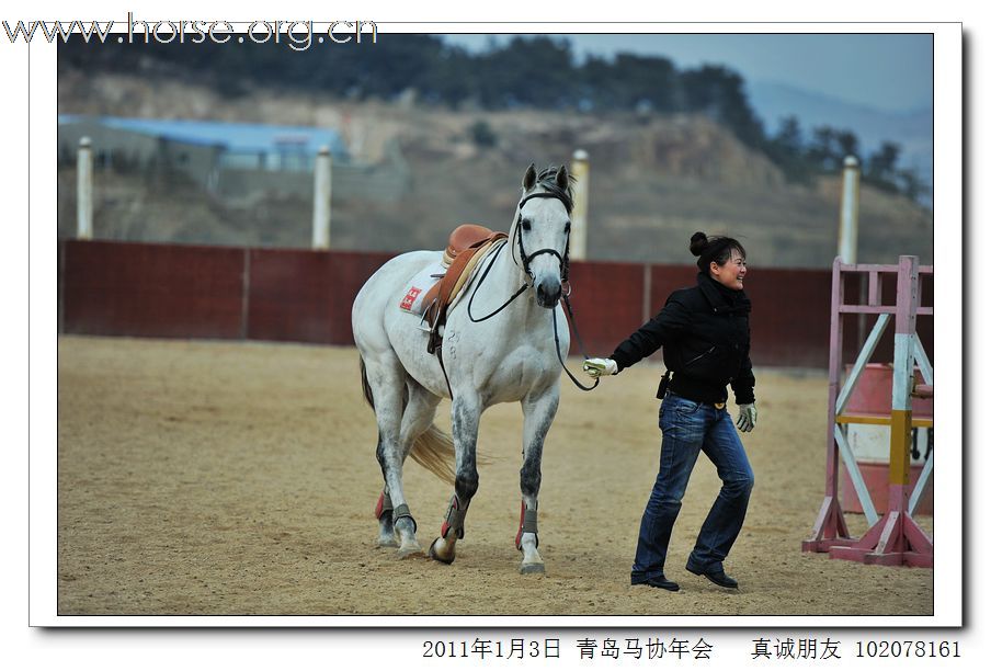 青岛市马术协会2011年年会精彩图片