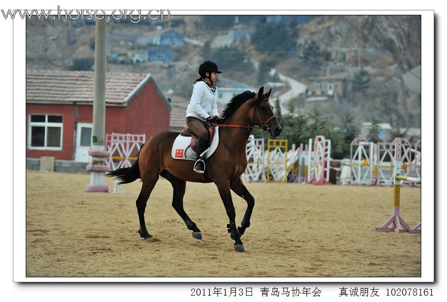 青岛市马术协会2011年年会精彩图片