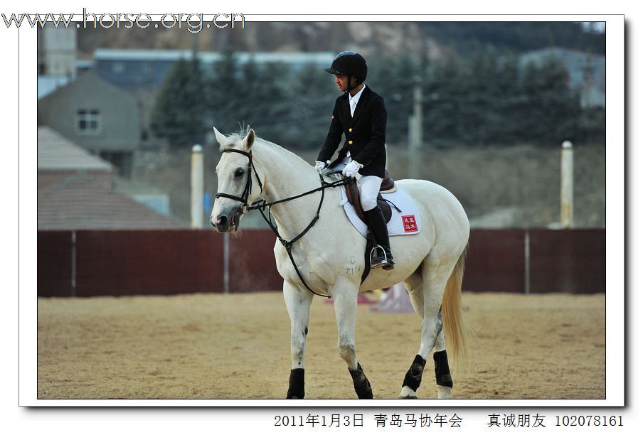 青岛市马术协会2011年年会精彩图片