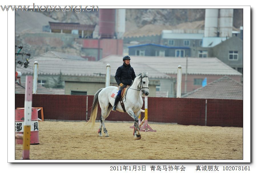 青岛市马术协会2011年年会精彩图片