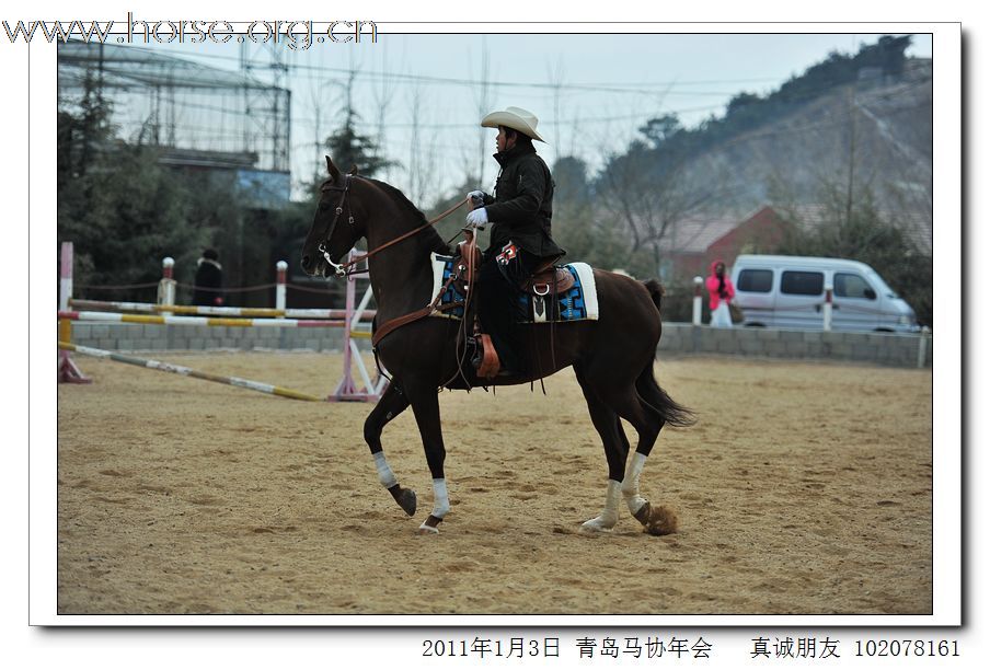 青岛市马术协会2011年年会精彩图片