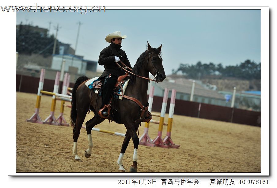 青岛市马术协会2011年年会精彩图片