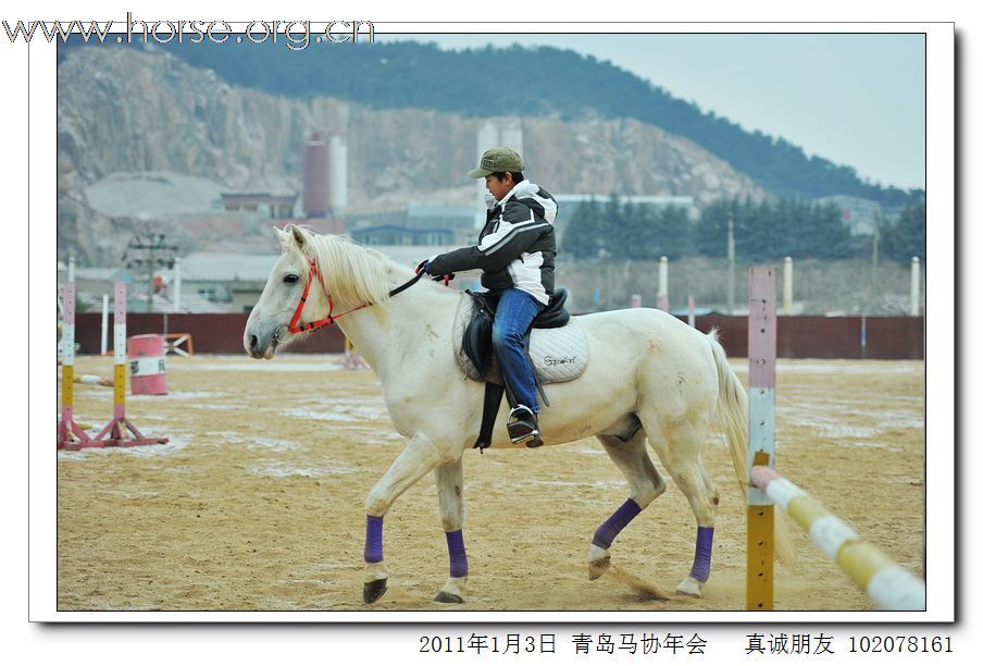 青岛市马术协会2011年年会精彩图片