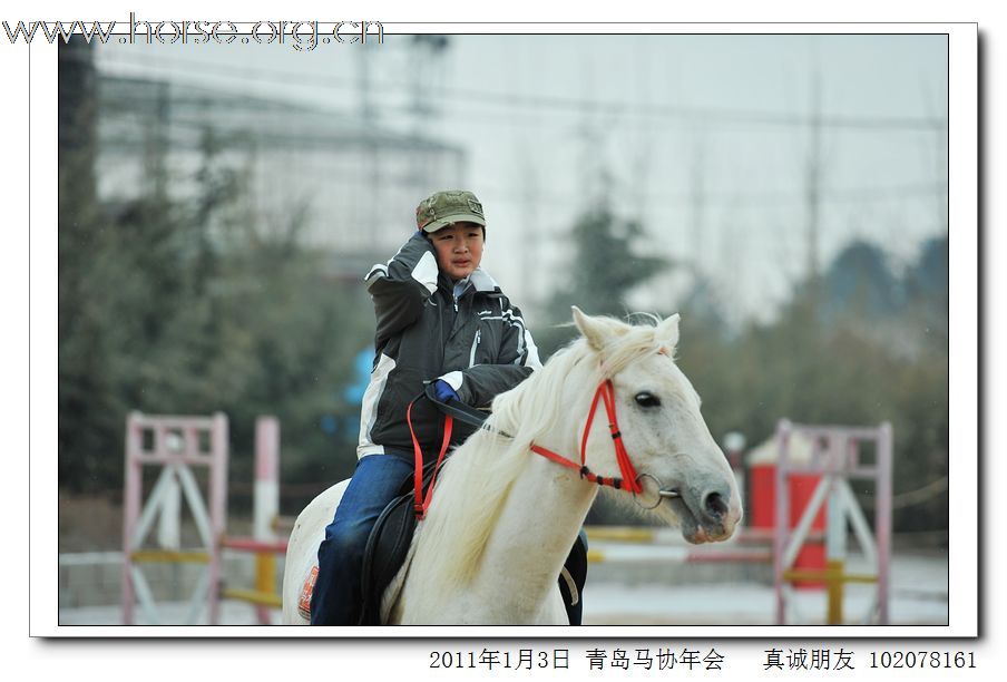 青岛市马术协会2011年年会精彩图片