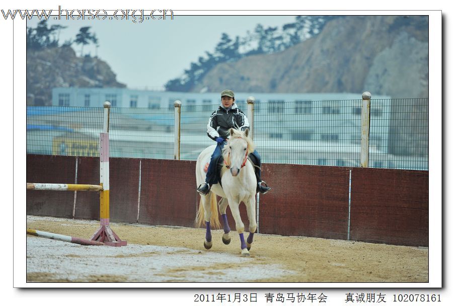 青岛市马术协会2011年年会精彩图片