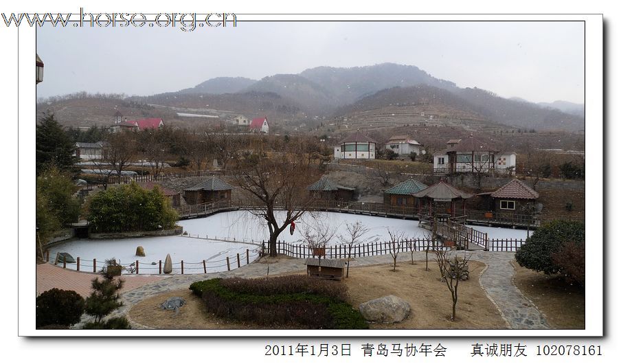 青岛市马术协会2011年年会精彩图片