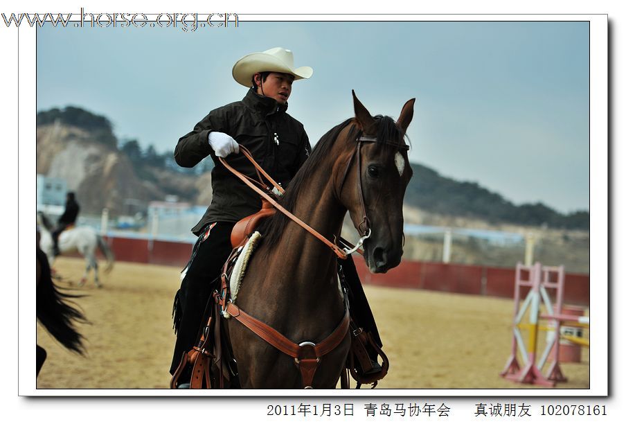 青岛市马术协会2011年年会精彩图片