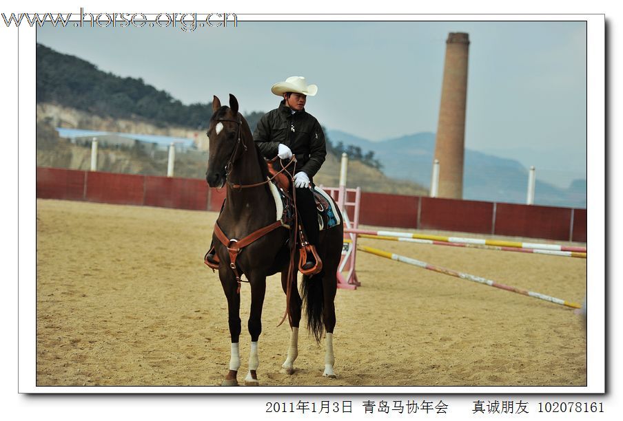 青岛市马术协会2011年年会精彩图片