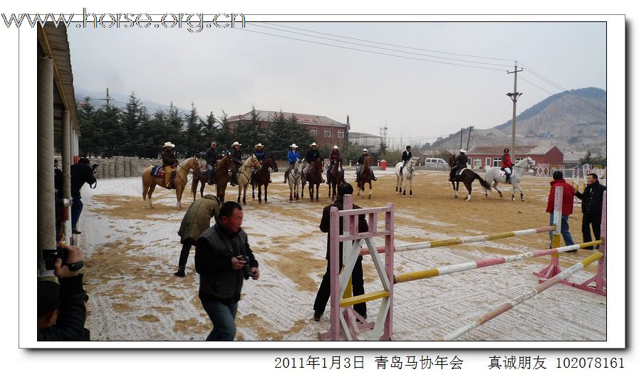 青岛市马术协会2011年年会精彩图片