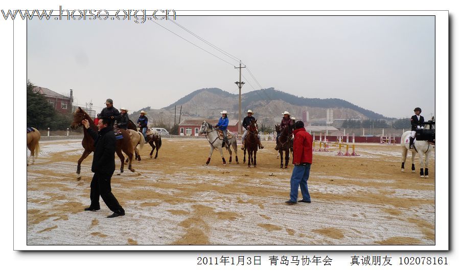 青岛市马术协会2011年年会精彩图片