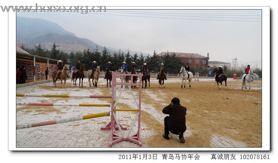 青岛市马术协会2011年年会精彩图片