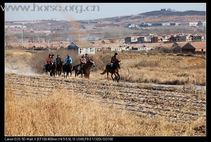 2010登程&#8226;骏马驰骋摄影比赛