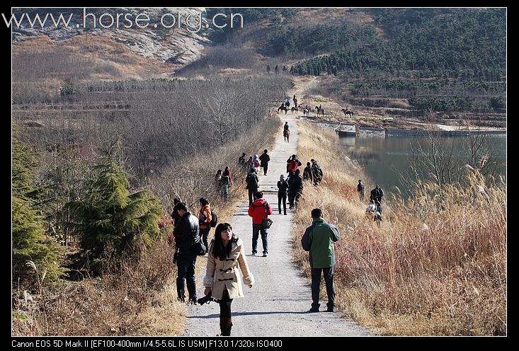 2010登程--骏马驰骋摄影比赛。颁奖！