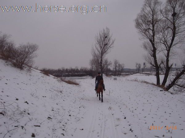 兔年初雪潮白河野骑