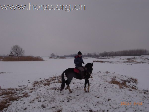 兔年初雪潮白河野骑