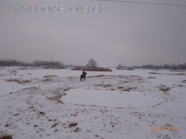 兔年初雪潮白河野骑