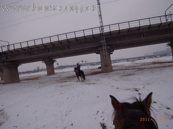 兔年初雪潮白河野骑