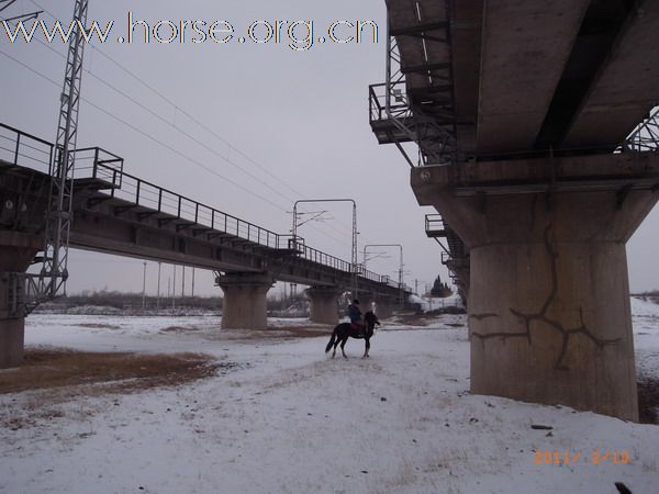 兔年初雪潮白河野骑