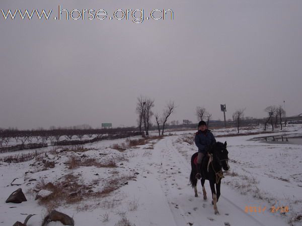 兔年初雪潮白河野骑