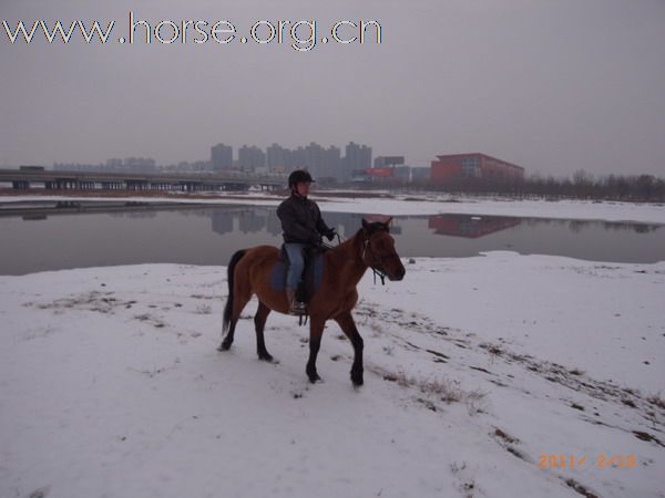 兔年初雪潮白河野骑