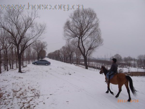 兔年初雪潮白河野骑