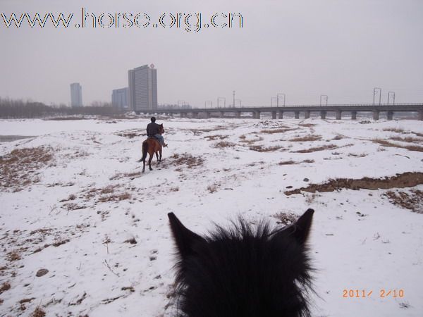 兔年初雪潮白河野骑