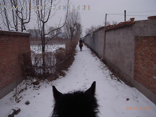 兔年初雪潮白河野骑