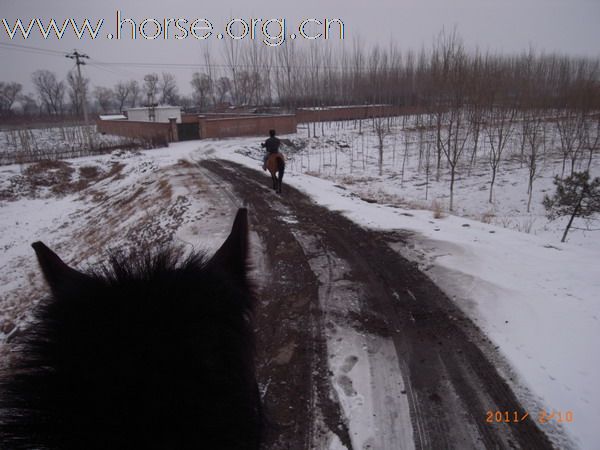 兔年初雪潮白河野骑