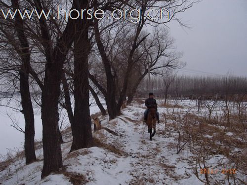 兔年初雪潮白河野骑