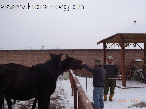 兔年初雪潮白河野骑