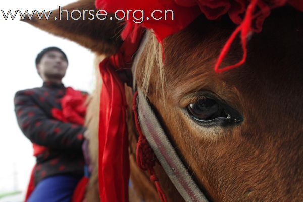 Rural Wedding On Horse