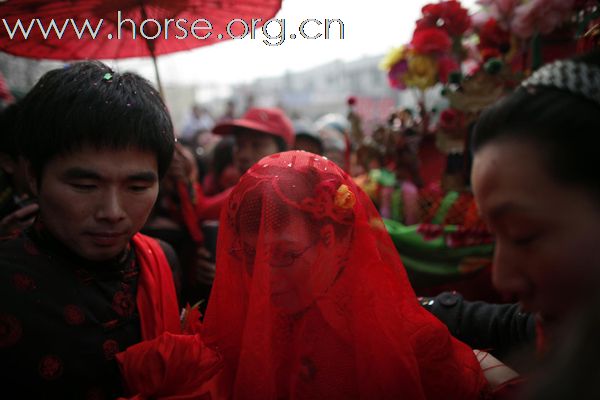 Rural Wedding On Horse