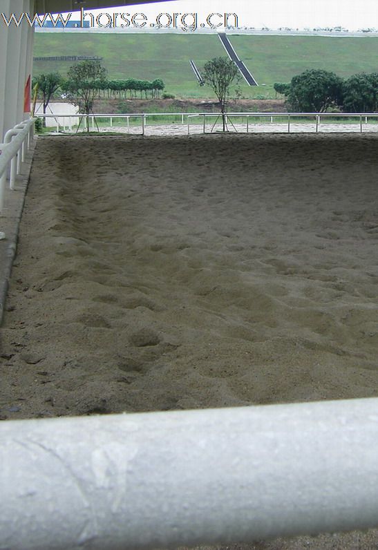 東莞 松山湖騎術俱樂部