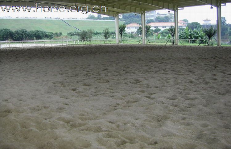 東莞 松山湖騎術俱樂部