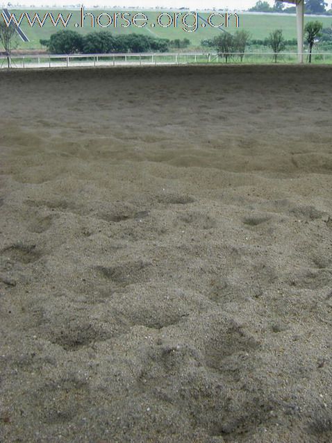 東莞 松山湖騎術俱樂部