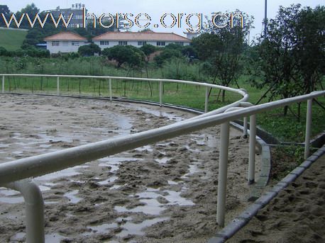 東莞 松山湖騎術俱樂部