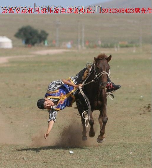 康西草原狂马俱乐部