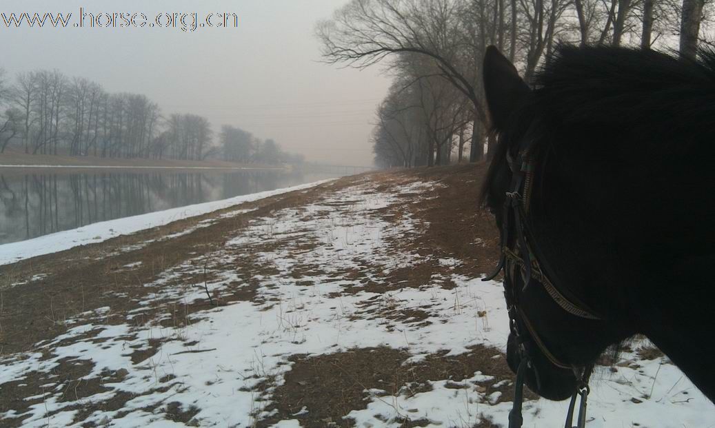 兔年初雪潮白河野骑