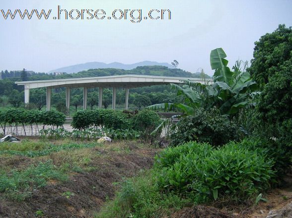 東莞 松山湖騎術俱樂部