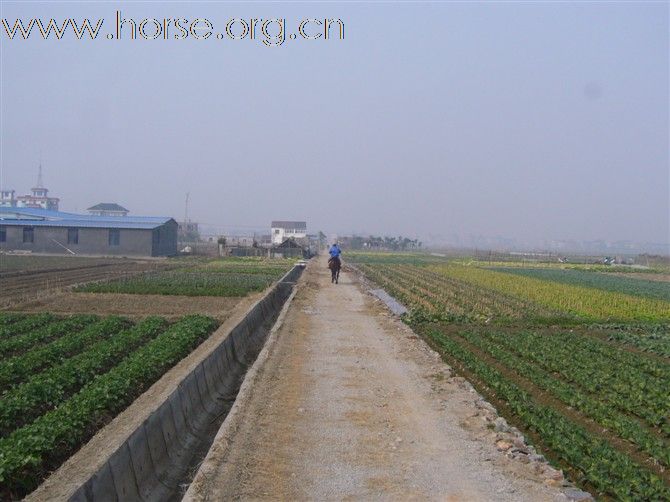 我们的野骑环境，浙江杭州钱塘江边的土路