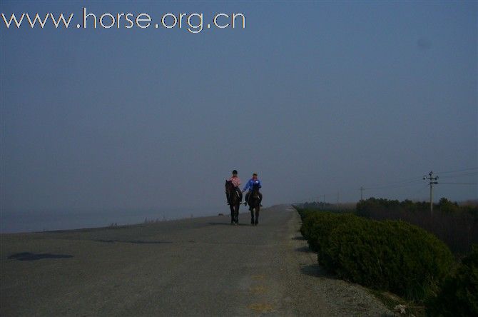 我们的野骑环境，浙江杭州钱塘江边的土路