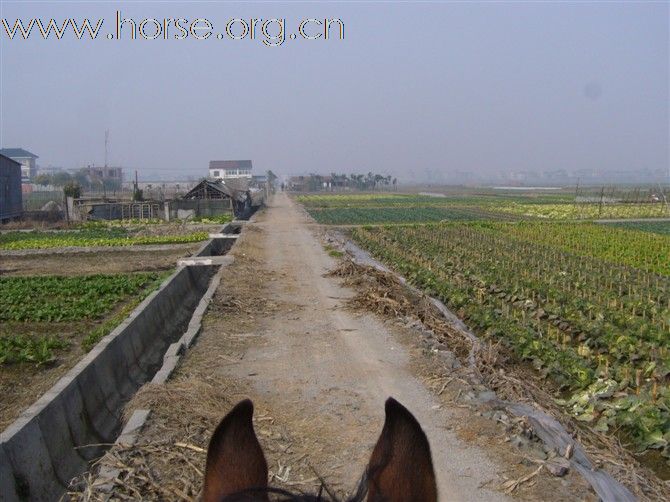 看看这里 杭州钱塘江边的土路野骑，大家点评一下