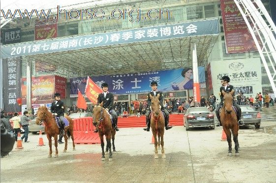 长沙家居博览会湘军骑兵团商演24-27号部分照片