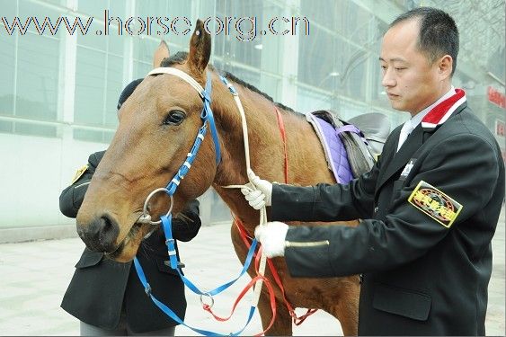 长沙家居博览会湘军骑兵团商演24-27号部分照片