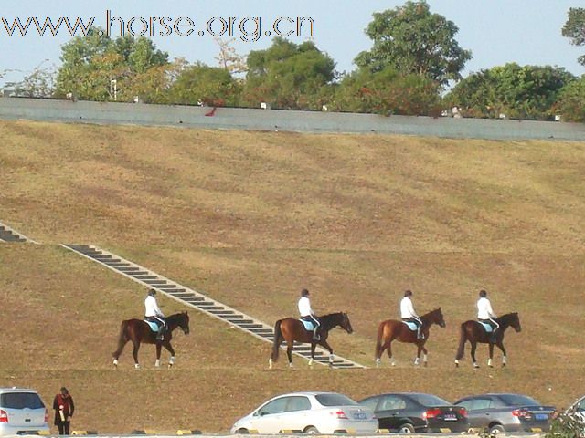 東莞 松山湖騎術俱樂部