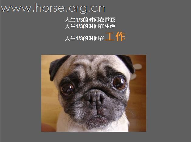 [注意]求职必读！N年前的一个职业课程课件