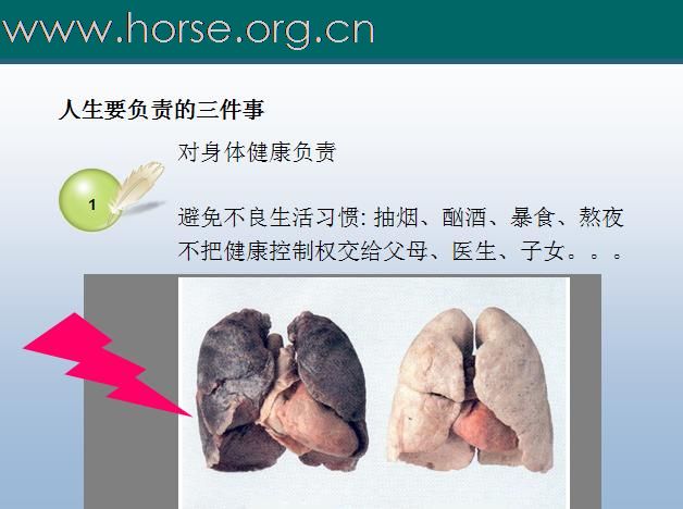 [注意]求职必读！N年前的一个职业课程课件