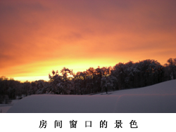 去法国买马，我们可以为您提供专业意见