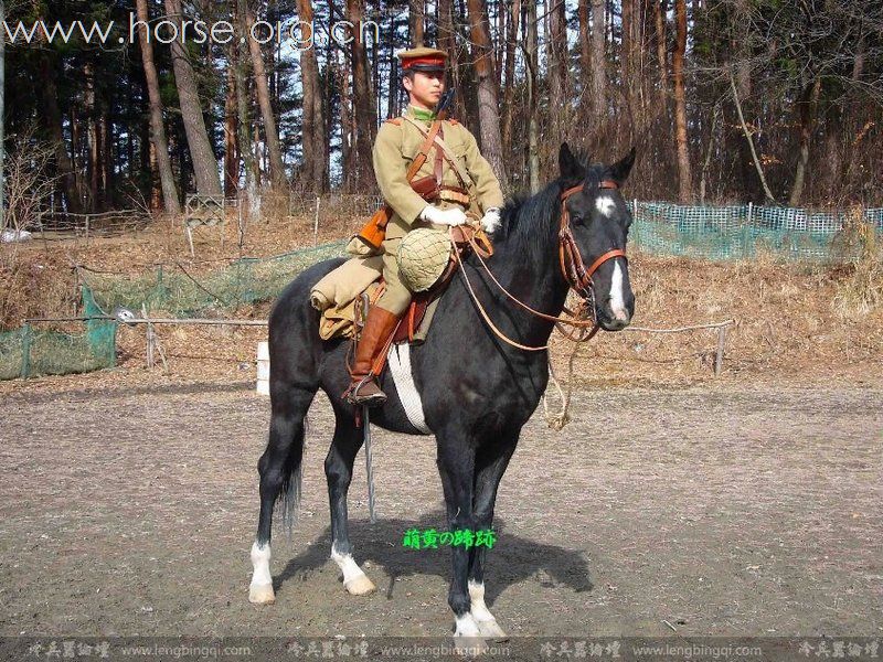介绍日本骑兵的专业网站-日语