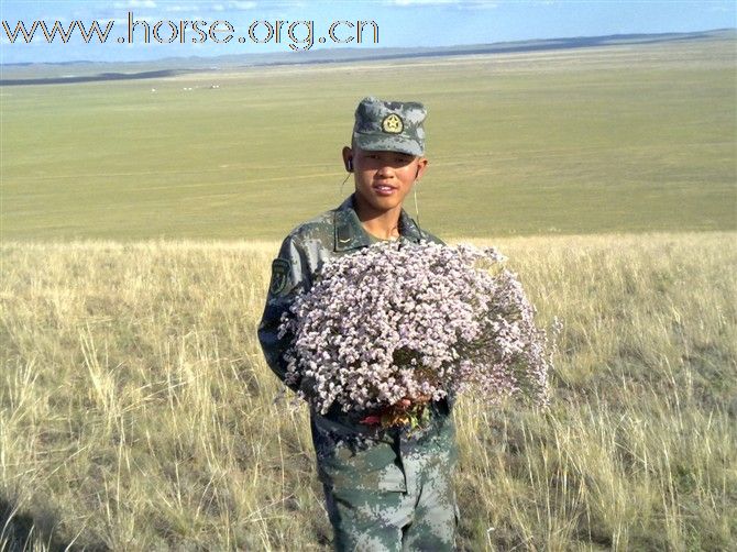 [转帖]野骑与马场马术差别